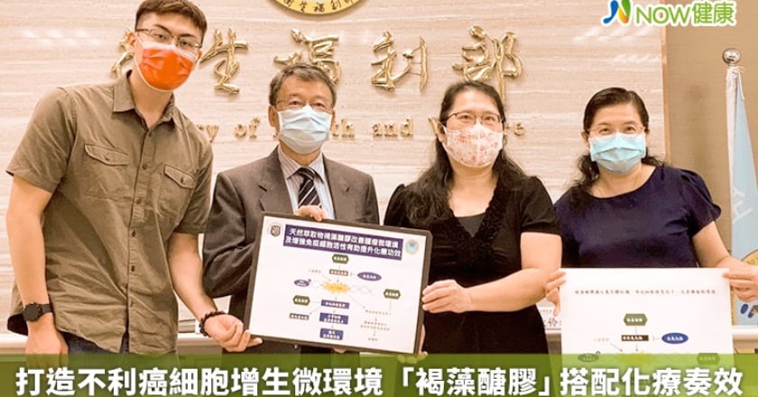 打造不利癌細胞增生微環境 「褐藻醣膠」搭配化療奏效