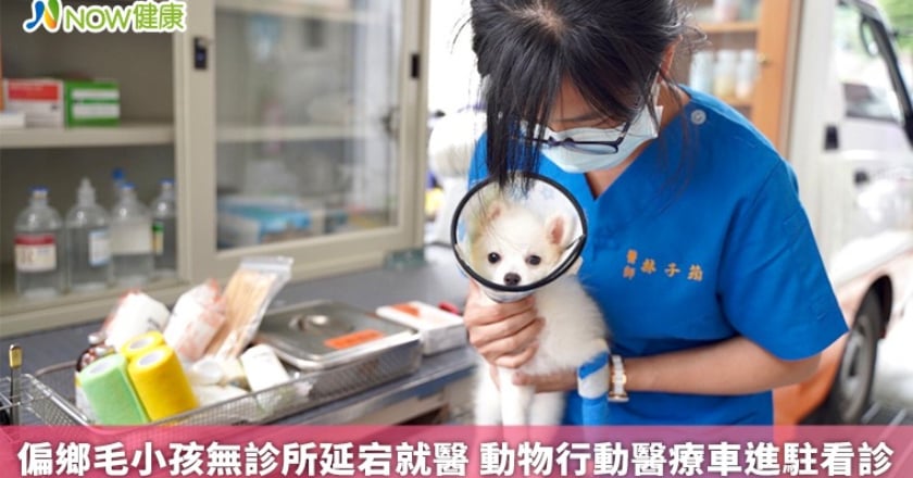 偏鄉毛小孩無診所延宕就醫 動物行動醫療車進駐看診