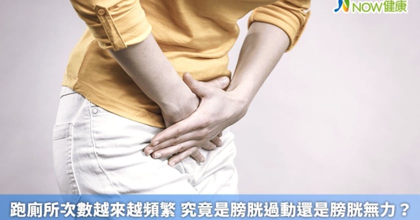 跑廁所次數越來越頻繁 究竟是膀胱過動還是膀胱無力？