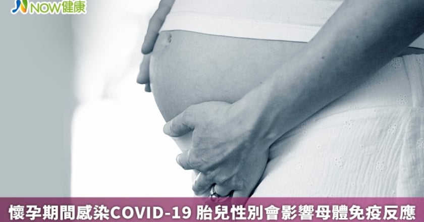 懷孕期間感染COVID-19 胎兒性別會影響母體免疫反應