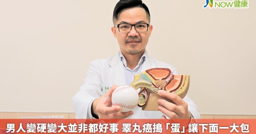 男人變硬變大並非都好事 睪丸癌搗「蛋」讓下面一大包