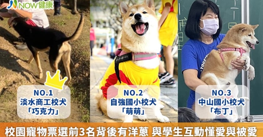 校園寵物票選前3名背後有洋蔥 與學生互動懂愛與被愛