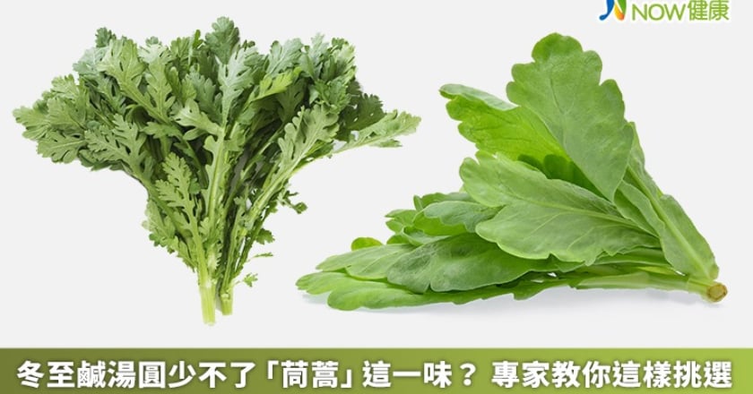 冬至鹹湯圓少不了「茼蒿」這一味？ 專家教你這樣挑選
