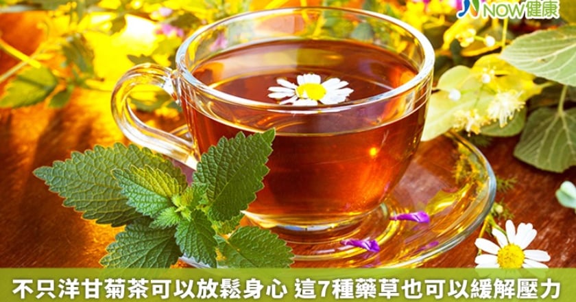 不只洋甘菊茶可以放鬆身心 這7種藥草也可以緩解壓力