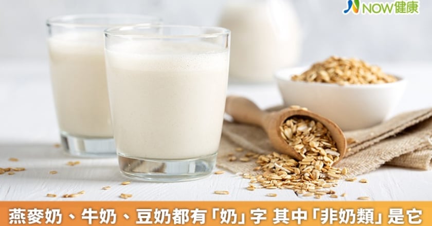 燕麥奶、牛奶、豆奶都有「奶」字 其中「非奶類」是它