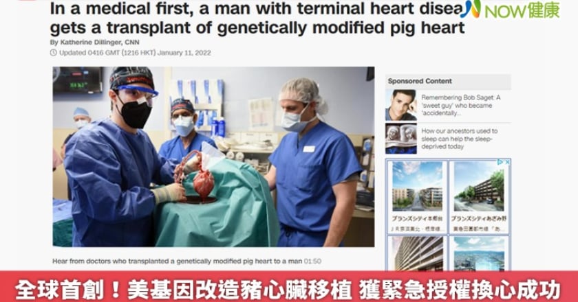 全球首創！美基因改造豬心臟移植 獲緊急授權換心成功