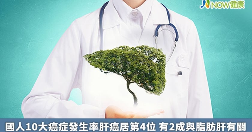 國人10大癌症發生率肝癌居第4位 有2成與脂肪肝有關