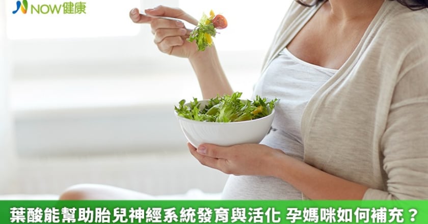 葉酸能幫助胎兒神經系統發育與活化 孕媽咪如何補充?