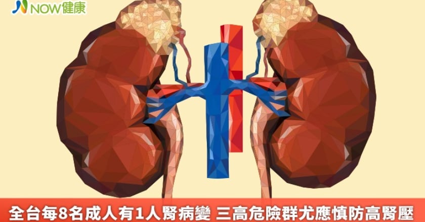 全台每8名成人有1人腎病變 三高危險群尤應慎防高腎壓