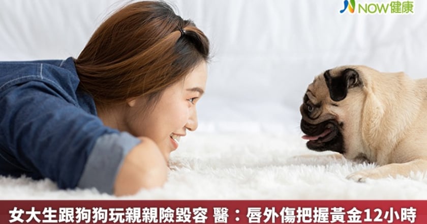 女大生跟狗狗玩親親險毀容 醫:唇外傷把握黃金12小時