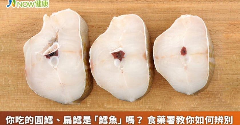 你吃的圓鱈、扁鱈是「鱈魚」嗎？ 食藥署教你如何辨別