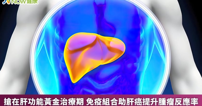 搶在肝功能黃金治療期 免疫組合助肝癌提升腫瘤反應率