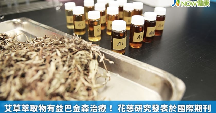 艾草萃取物有益巴金森治療！ 花慈研究發表於國際期刊
