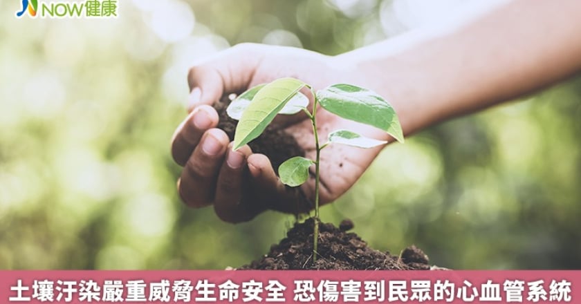土壤汙染嚴重威脅生命安全 恐傷害到民眾的心血管系統