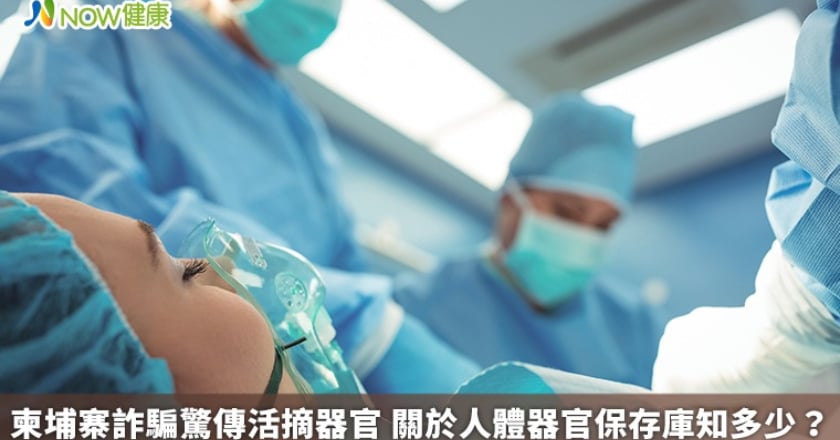 柬埔寨詐騙驚傳活摘器官 關於人體器官保存庫知多少？