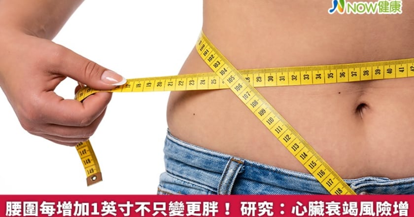 腰圍每增加1英寸不只變更胖！ 研究：心臟衰竭風險增