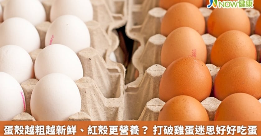 蛋殼越粗越新鮮、紅殼更營養？ 打破雞蛋迷思好好吃蛋