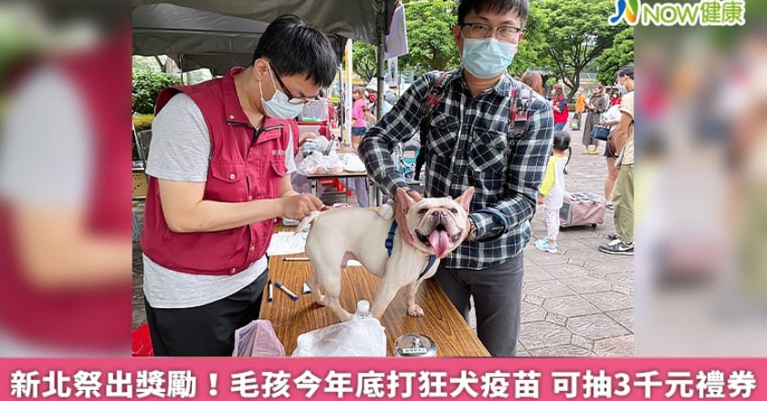 新北祭出獎勵!毛孩今年底打狂犬疫苗 可抽3千元禮券