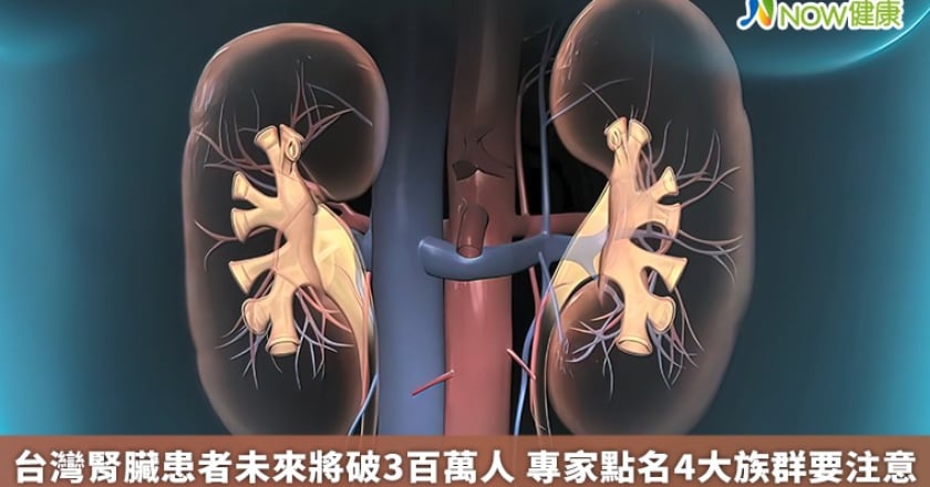 台灣腎臟患者未來將破3百萬人 專家點名4大族群要注意