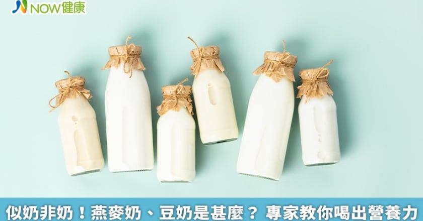 似奶非奶！燕麥奶、豆奶是甚麼？ 專家教你喝出營養力