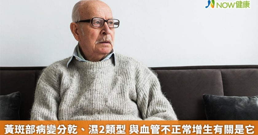 黃斑部病變分乾、濕2類型 與血管不正常增生有關是它
