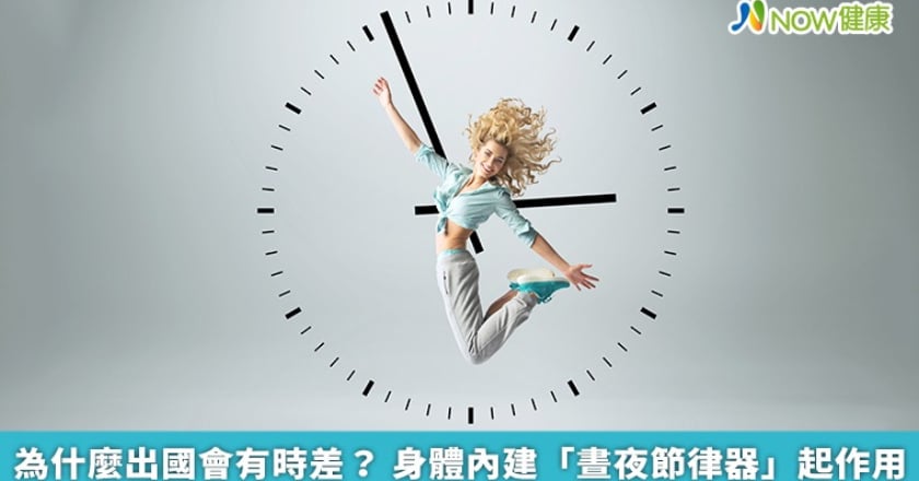 為什麼出國會有時差？ 身體內建「晝夜節律器」起作用