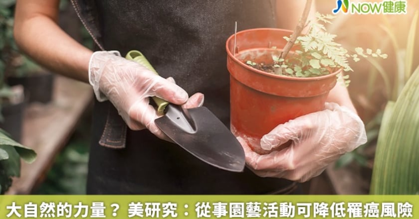 大自然的力量？ 美研究：從事園藝活動可降低罹癌風險