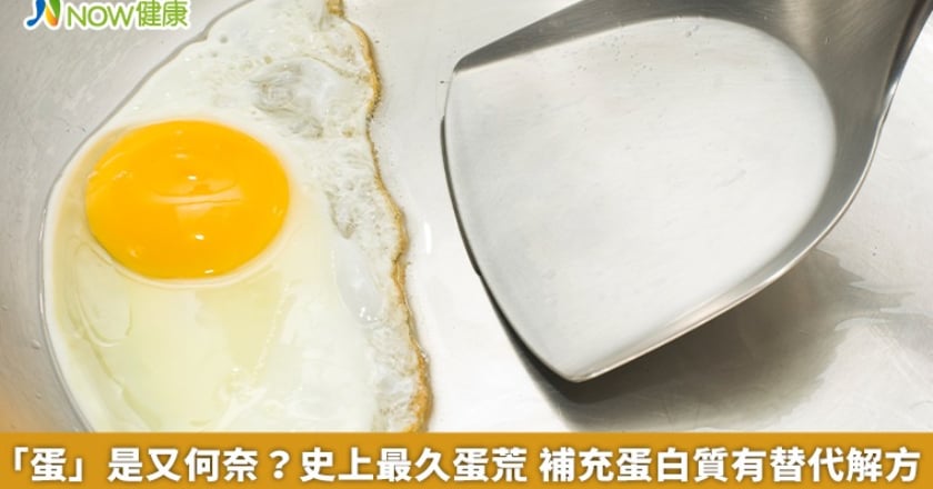 「蛋」是又何奈？史上最久蛋荒 補充蛋白質有替代解方