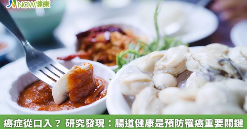 癌症從口入？ 研究發現：腸道健康是預防罹癌重要關鍵