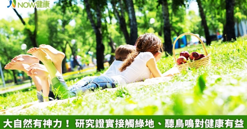 大自然有神力! 研究證實接觸綠地、聽鳥鳴對健康有益