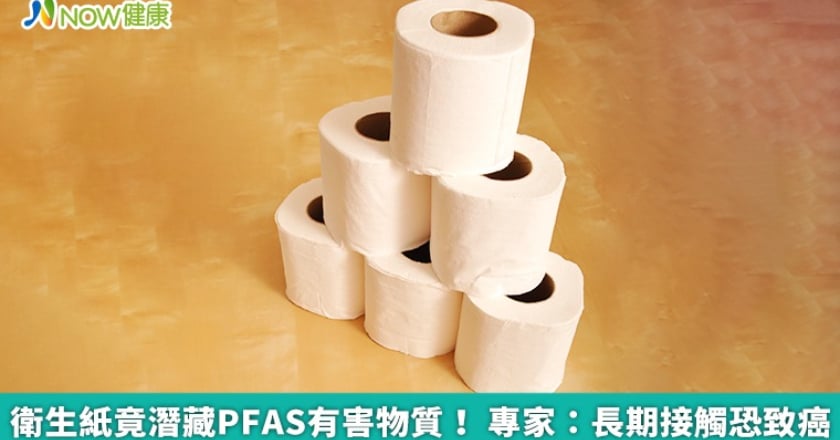 衛生紙竟潛藏PFAS有害物質! 專家:長期接觸恐致癌