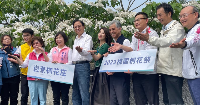 桃園桐花季開跑　邀民眾欣賞五月雪之美