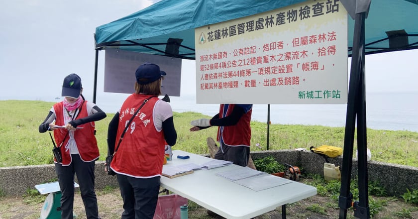 颱風季恐致漂流木災害　花蓮林管處與港務公司辦演習
