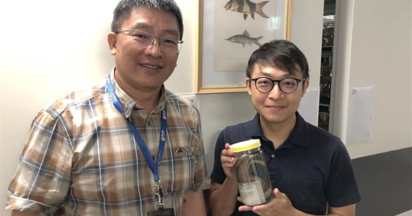中山大學團隊深入黑暗地下河 發現新物種「無眼魚」登國際期刊