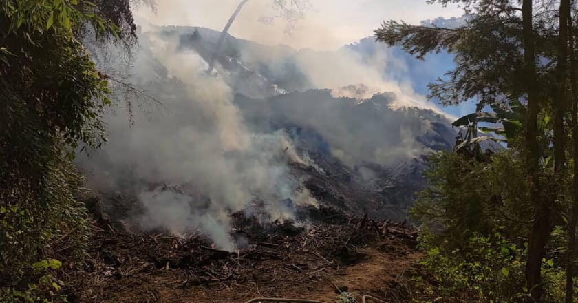 山林大火10警義消一氧化碳中毒　苗縣府將究責地主