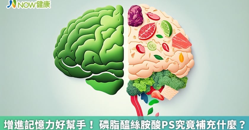 增進記憶力好幫手! 磷脂醯絲胺酸PS究竟補充什麼?