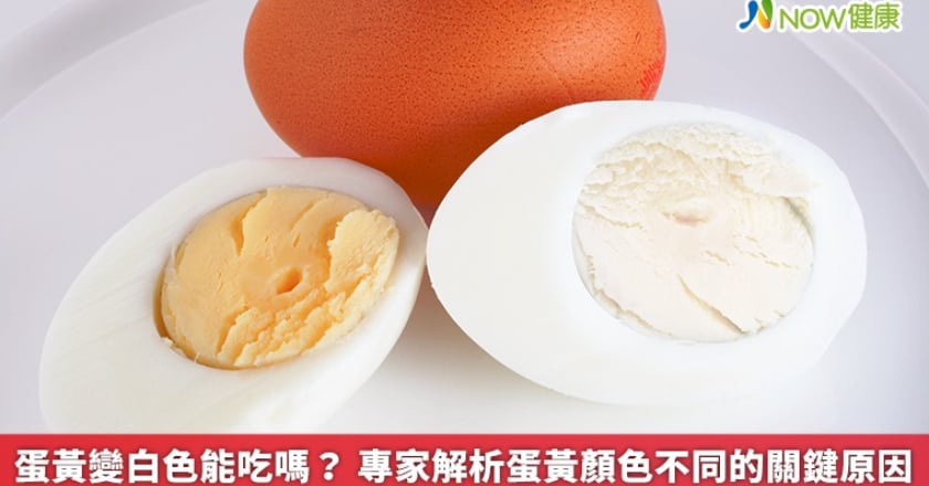蛋黃變白色能吃嗎？ 專家解析蛋黃顏色不同的關鍵原因
