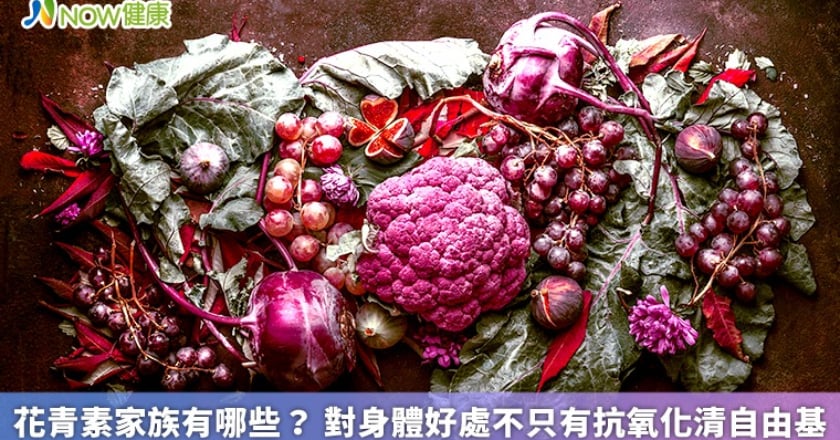花青素家族有哪些？ 對身體好處不只有抗氧化清自由基
