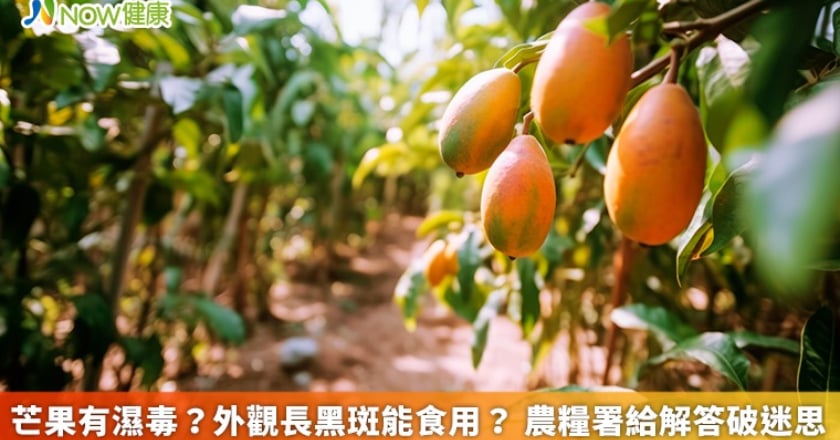 芒果有濕毒？外觀長黑斑能食用？ 農糧署給解答破迷思