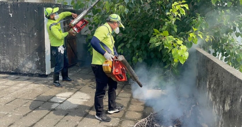 登革熱擴大 南市增12例高市增3例雲林增2例中市增2例快篩陽性