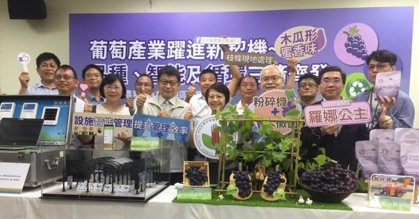 葡萄栽種智能化循環利用並進　省人力、減碳增匯