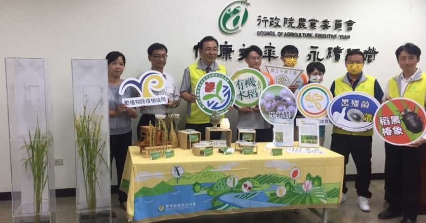 黑殭菌、黑卵蜂雙雄出動 救回台東百甲有機米
