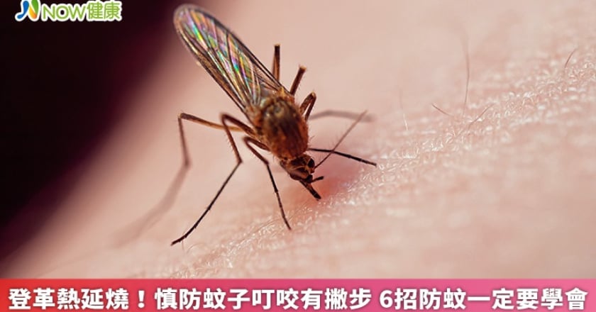 登革熱延燒！慎防蚊子叮咬有撇步 6招防蚊一定要學會