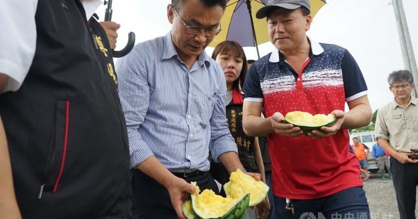 颱風杜蘇芮影響農損累計2663萬元　花蓮縣最傷