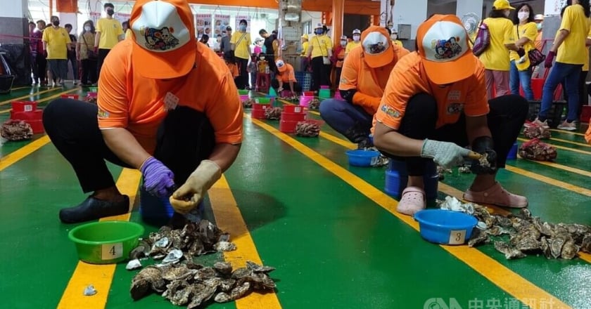 嘉義區漁會剖蚵競賽促銷牡蠣　成功吸引遊客搶購