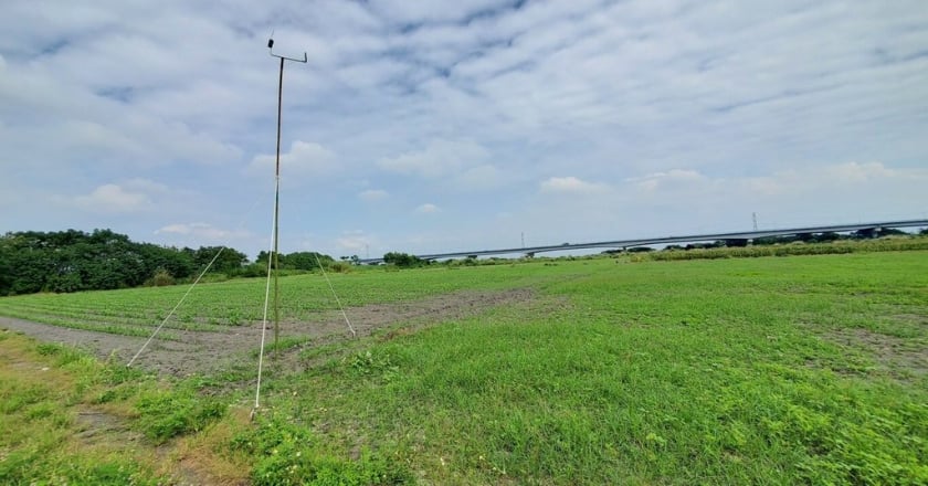 屏東草鴞生態給付開放申請 每公頃最高3.3萬