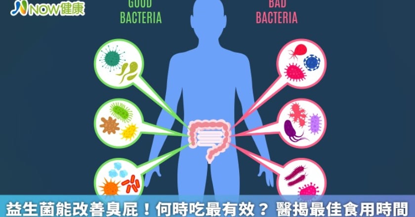 益生菌能改善臭屁！何時吃最有效？ 醫揭最佳食用時間