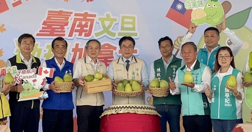台南文旦產季最早到　7公噸外銷加拿大啟運
