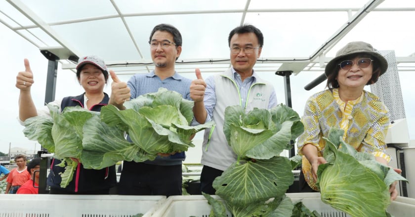 農委會推蔬菜機耕　陳吉仲：解決缺工提高競爭力