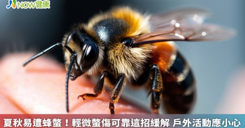 夏秋易遭蜂螫!輕微螫傷可靠這招緩解 戶外活動應小心